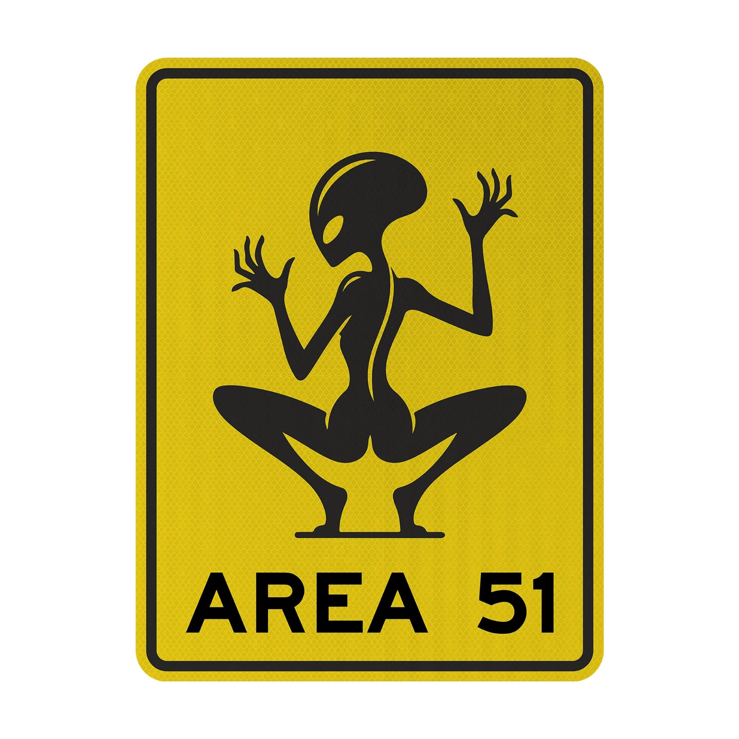 Area 51 Streetsign