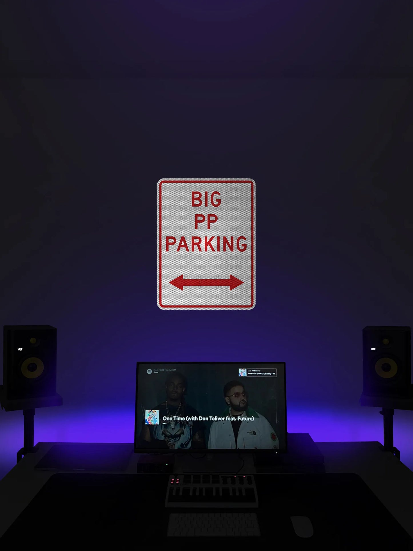 Big PP Parking Streetsign